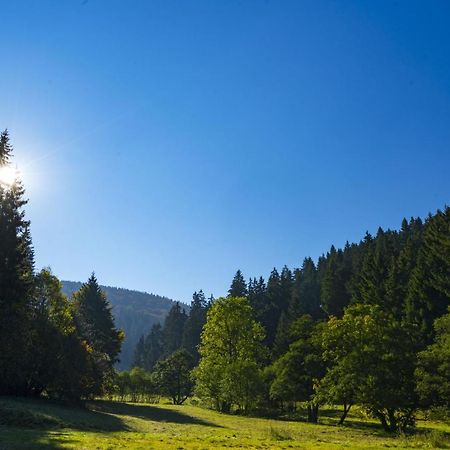 The Conscious Farmer Bed And Breakfast Sauerland Willingen  Dış mekan fotoğraf