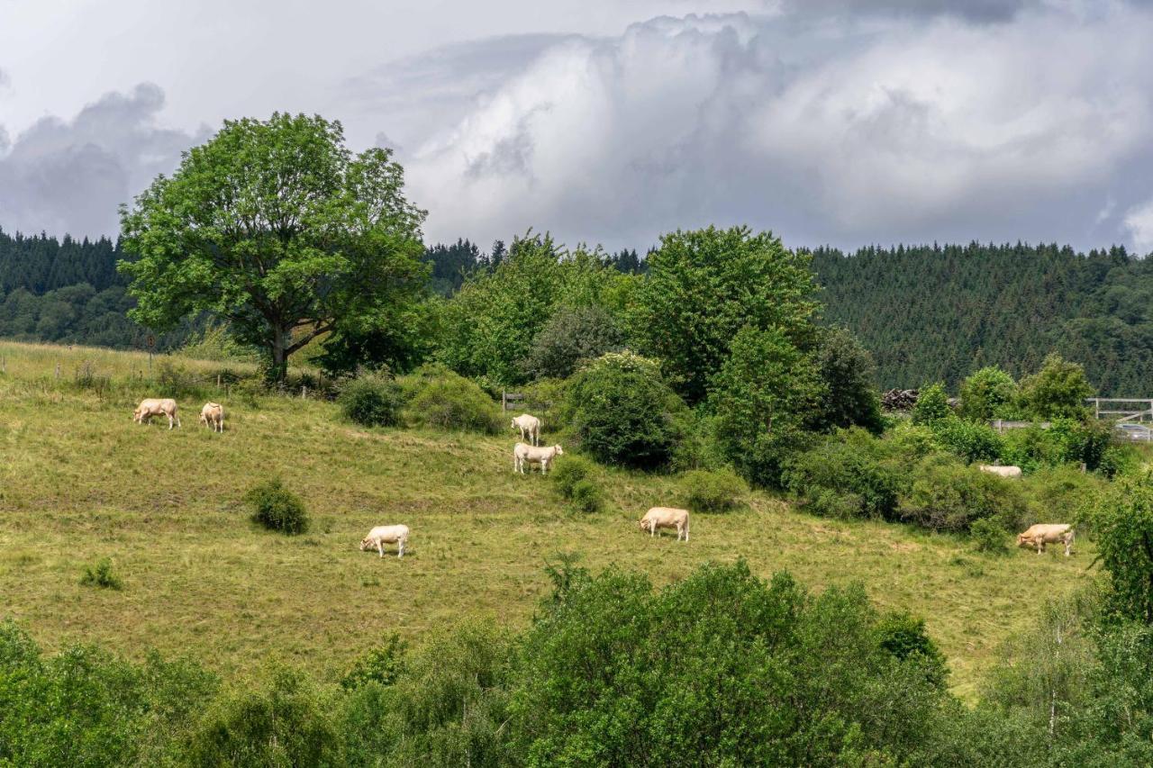 The Conscious Farmer Bed And Breakfast Sauerland Willingen  Dış mekan fotoğraf