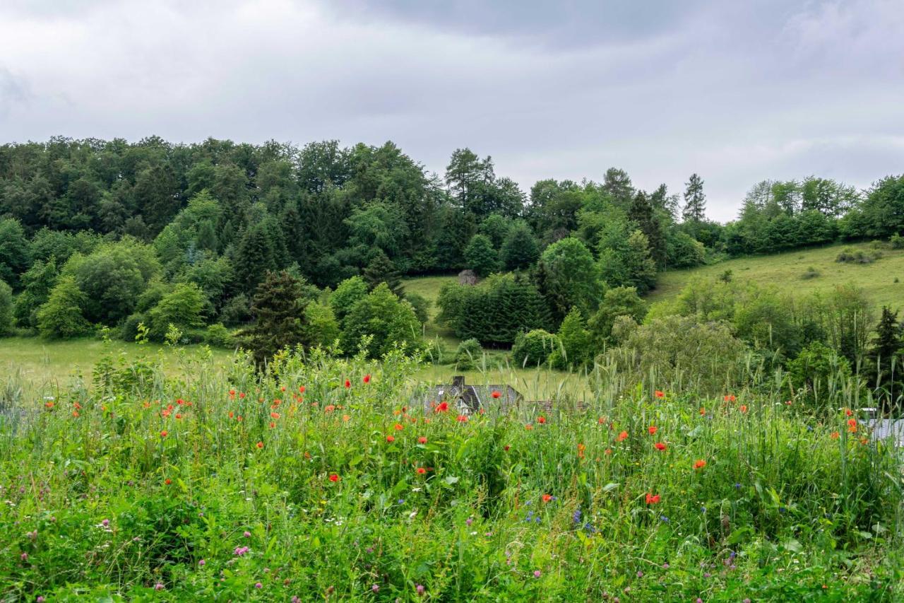 The Conscious Farmer Bed And Breakfast Sauerland Willingen  Dış mekan fotoğraf