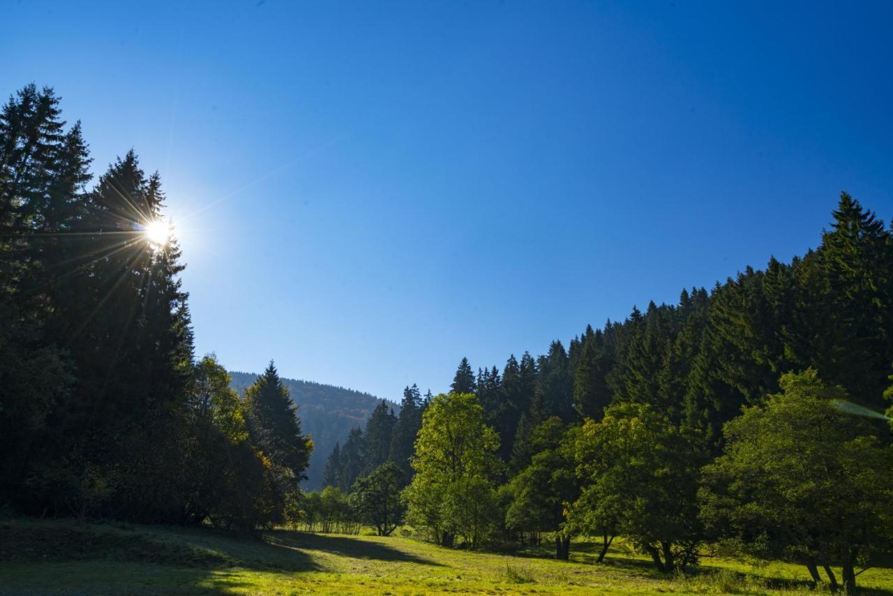 The Conscious Farmer Bed And Breakfast Sauerland Willingen  Dış mekan fotoğraf
